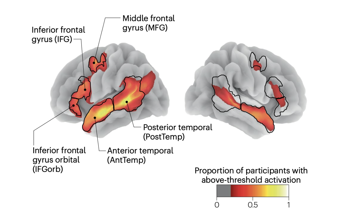 The Human Language Network